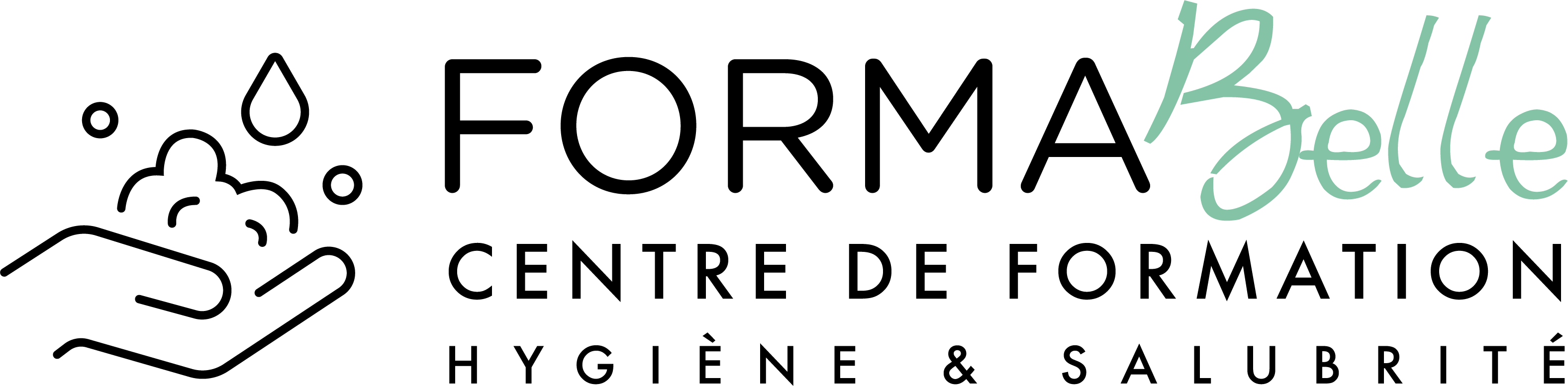 Logo Hygiène Salubrité
